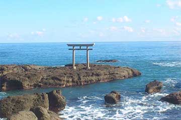 【茨城の自然&グルメを満喫!/横浜・たまプラ発】ひたち海浜公園「530万本のネモフィラの丘」&約26万本のチューリップや菜の花もお楽しみ!グルメな日帰り2食付き10,990円!2